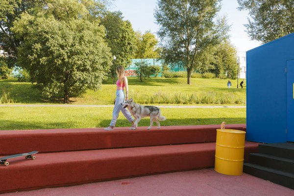 Comprendre le comportement des dauphins